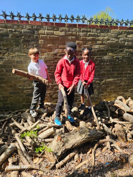 Exploring with wooden wonders